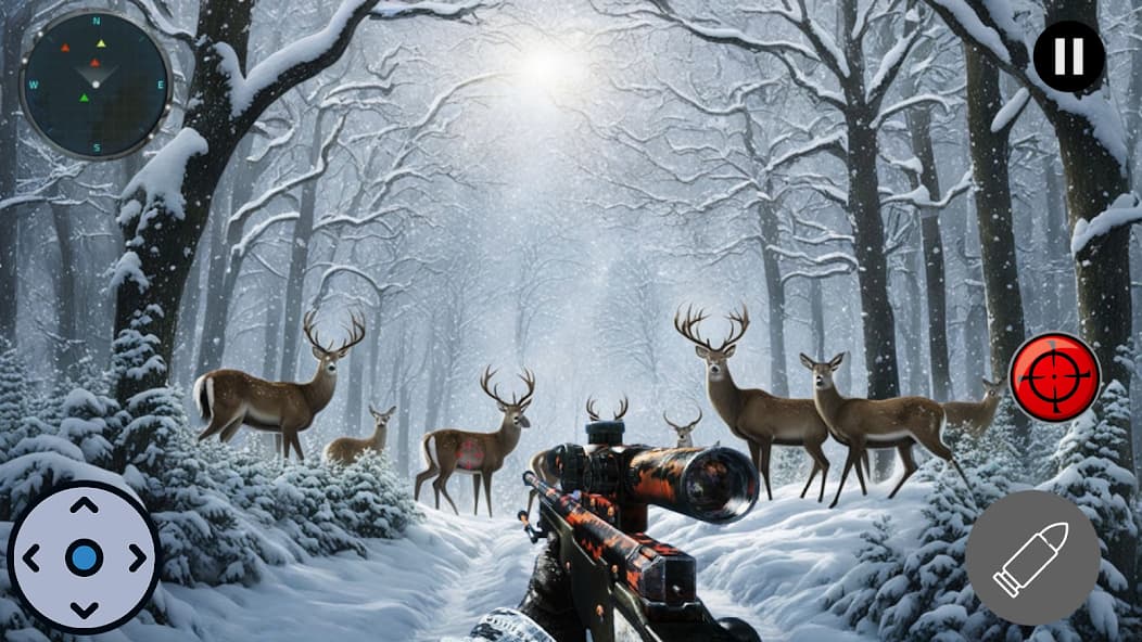Deer Hunting Adventure